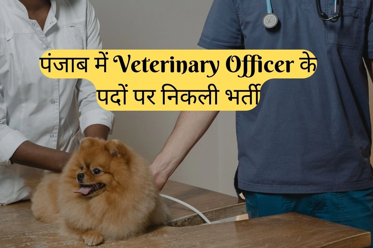 PPSC Recruitment 2022: Recruitment for the posts of Veterinary Officer in  Punjab, know how to apply