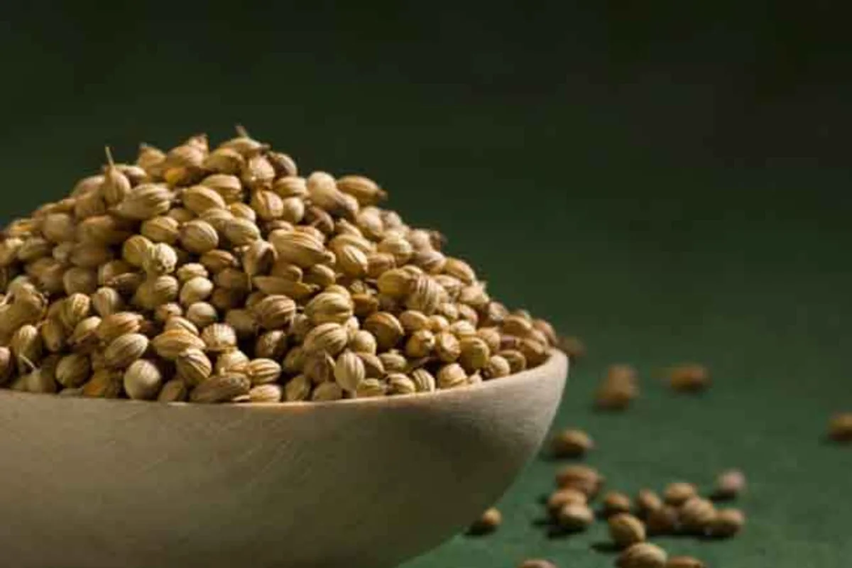 Coriander Benefits साबुत धनिया आपको इन समस्याओं से दिलाएगा छुटकारा