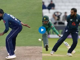 Cricket Viral Video