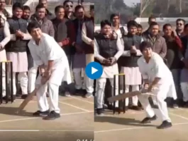 Cricket Viral Video