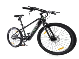 Electric Cycle