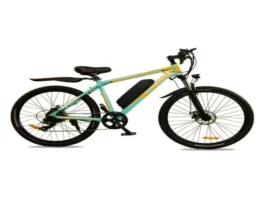 Electric Cycle