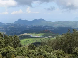 Ooty