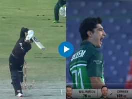 PAK vs NZ