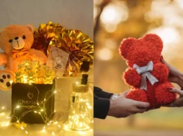 Teddy Day