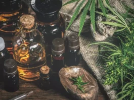 Cannabis Sommelier Job