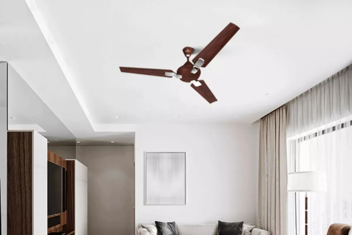 Ceiling Fan