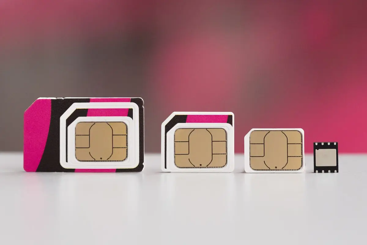 E-Sim