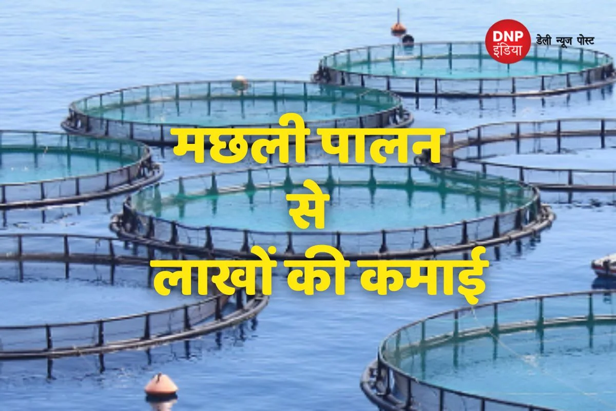 Fish Farming
