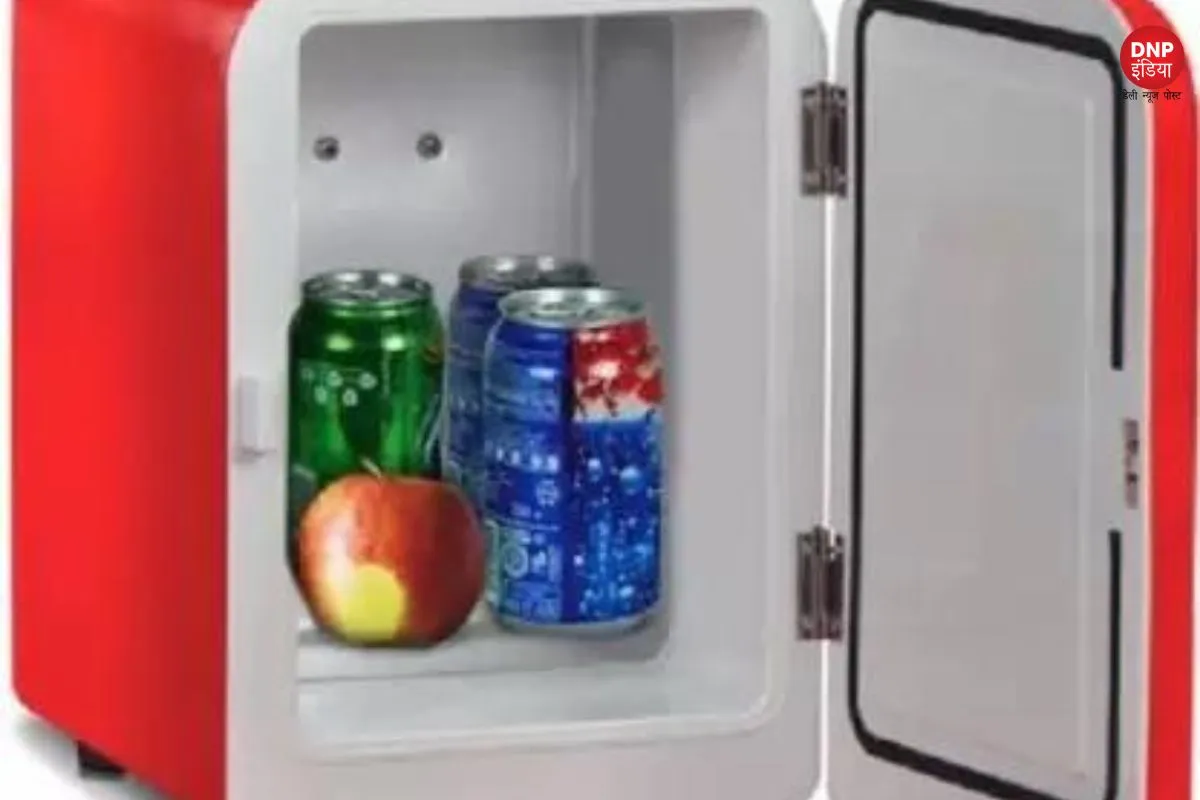 Portable Mini Fridge