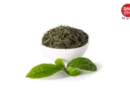 GREEN TEA FACE PACK