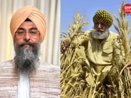 Punjab News
