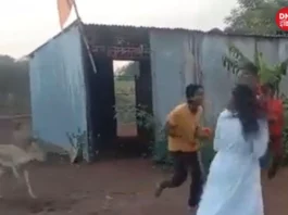 VIRAL VIDEO