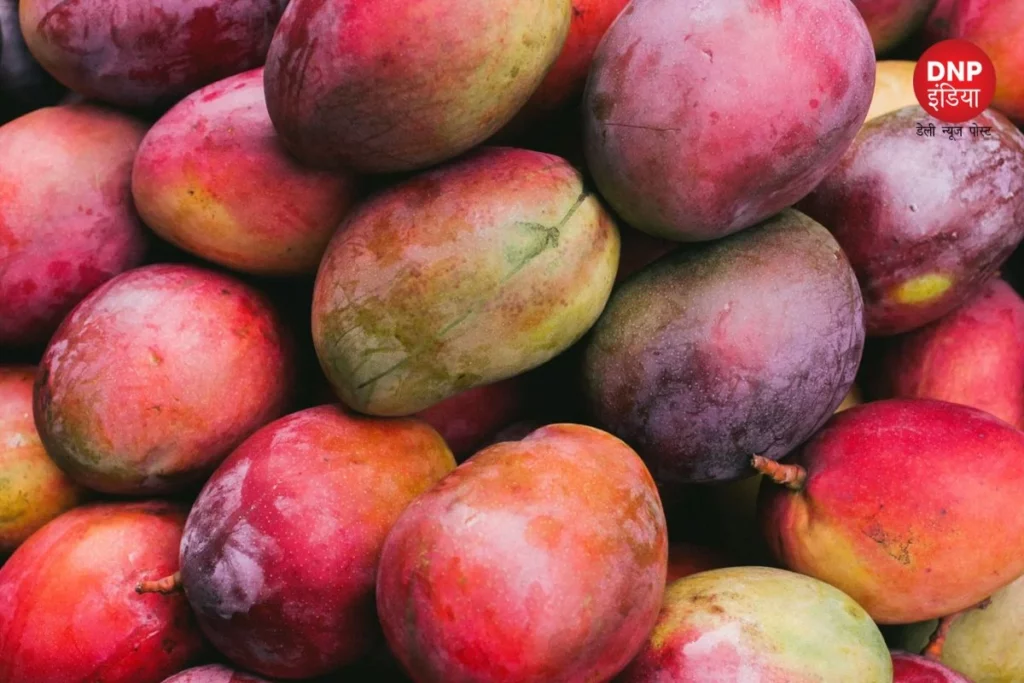 varieties of mango
