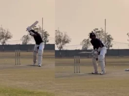 Cricket Viral Video