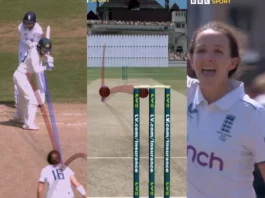 Cricket Viral Video