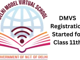 DMVS