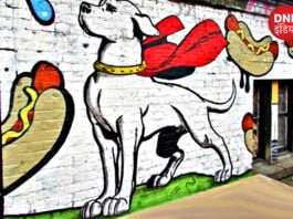 Dog Park in Noida