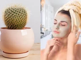 Skin Care Tips
