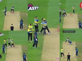 Cricket Viral Video