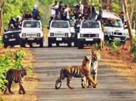 Uttarakhand News