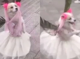 Viral video