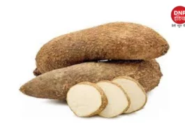 Yam benefits