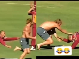 Cricket Viral Video