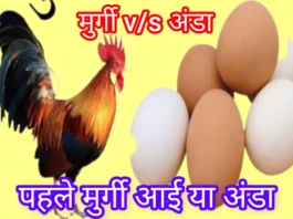 Chicken or egg who came first