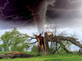 Biparjoy Cyclone News