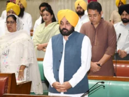 Punjab News