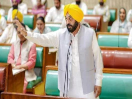 Punjab News
