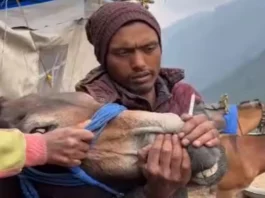 Kedarnath Dham