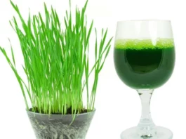 Barley Grass Juice