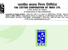CCIL Recruitment 2023