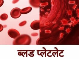 Health Tips