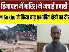 Himachal News
