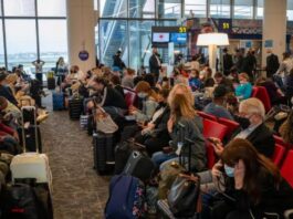 Italy Airlines News