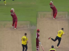 Cricket Viral Video