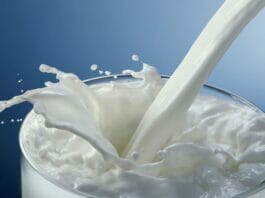 Milk