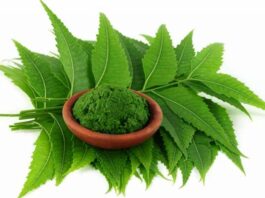 NEEM