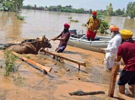 Punjab Floods