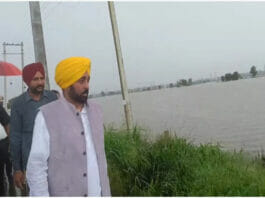 Punjab News