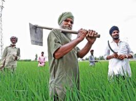Punjab News