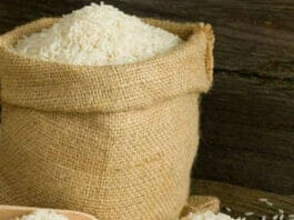 Rice Hike
