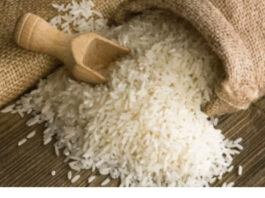 Rice Hike News