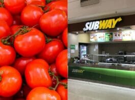 Subway Tomato