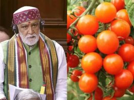 Tomato Price Hike