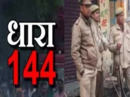 UP News