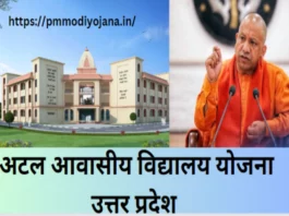 UP News